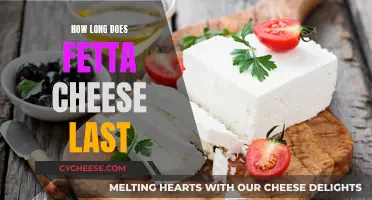 The Lifespan of Fetta Cheese: How Long Does it Last?