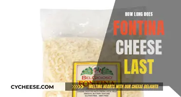 Fontina Cheese: How Long Does It Last?