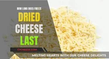 Freeze-Dried Cheese: How Long Does It Really Last?