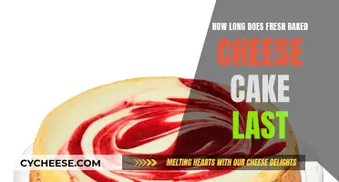 Cheesecake Care: How Long Does Freshness Last?