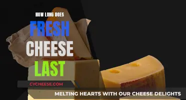 Cheese Storage: Fresh Cheese Shelf Life Explained