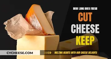 Fresh-Cut Cheese: How Long Does It Stay Good?