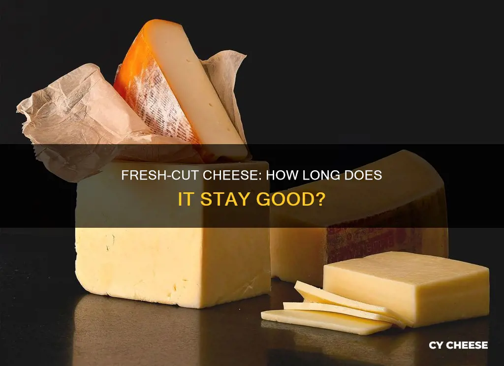 how long does fresh cut cheese keep