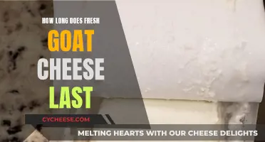 Goat Cheese Freshness: How Long Does it Last?