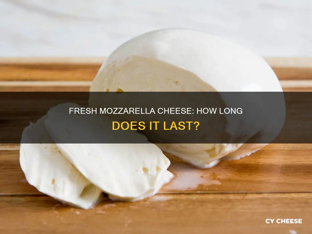 how long does fresh mozzarella cheese keep in the fridge