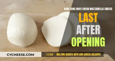 Fresh Mozzarella Cheese: How Long Does It Really Last?