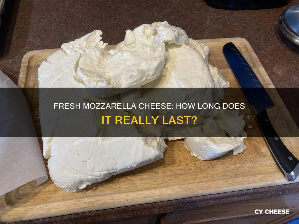 how long does fresh mozzarella cheese last after opening