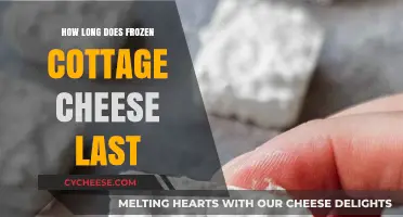 Frozen Cottage Cheese Shelf Life: How Long Does It Last?