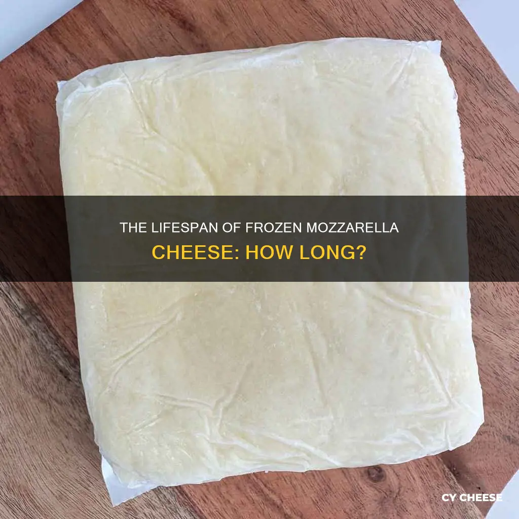 how long does frozen mozzarella cheese last