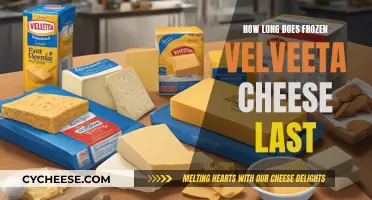 The Longevity of Frozen Velveeta Cheese: How Long Does it Last?