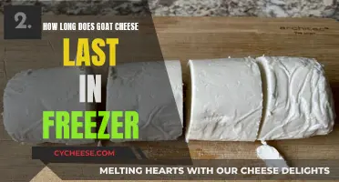 Goat Cheese Freezing: How Long Can You Store It?