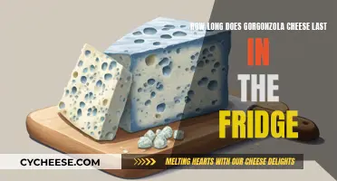 Gorgonzola Cheese: How Long Does it Last?