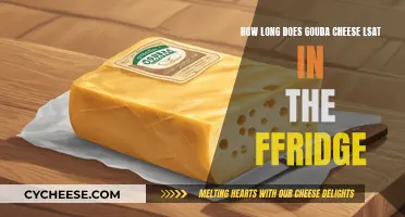 Gouda's Fridge Life: How Long Does it Last?