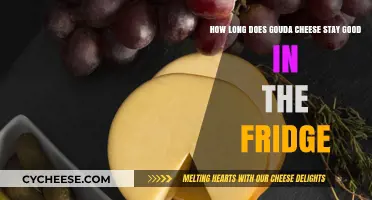 Gouda's Fridge Life: How Long Does it Last?