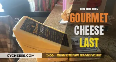 The Lifespan of Gourmet Cheese: How Long Does it Last?