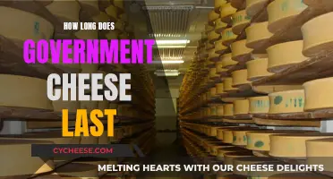 The Ultimate Guide to Government Cheese Shelf Life