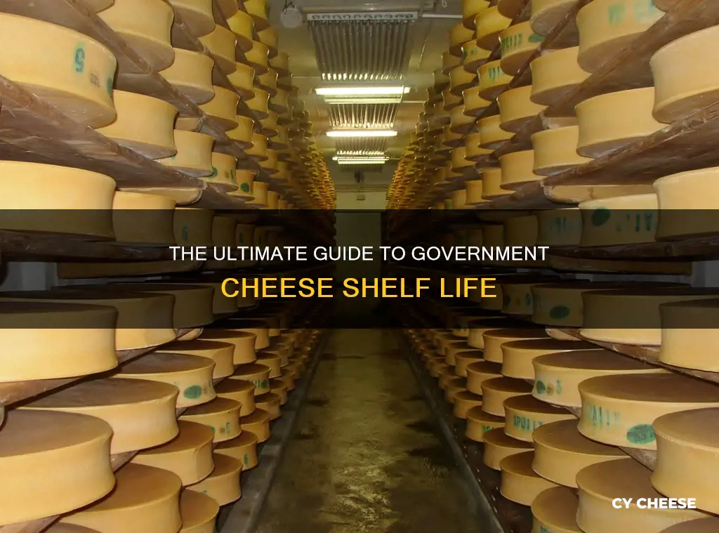 how long does government cheese last