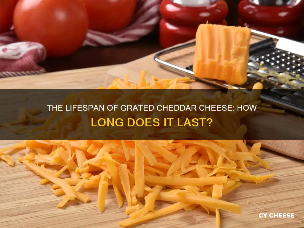 how long does grated cheddar cheese last