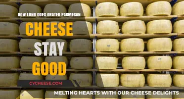 The Longevity of Grated Parmesan Cheese: How Long Does it Last?