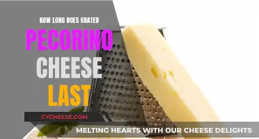 Pecorino Cheese: How Long Does Grated Pecorino Stay Fresh?