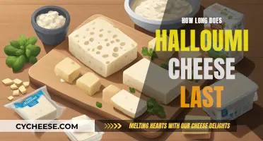 Extending Halloumi Cheese Life: Storage Tips and Tricks