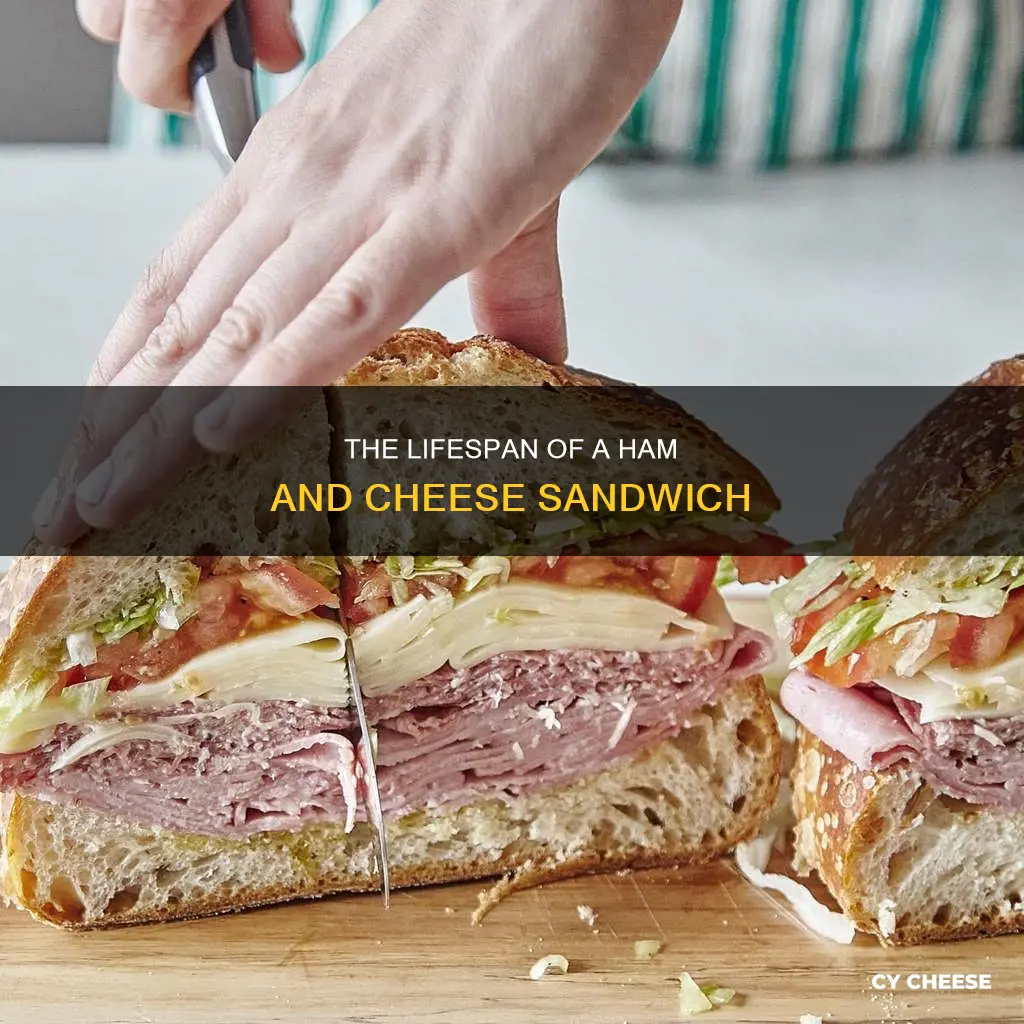 how long does ham and cheese sandwich last