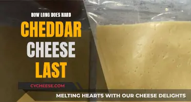 The Longevity of Hard Cheddar Cheese Explained