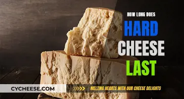 Hard Cheese: How Long Does It Stay Fresh?