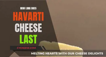 The Lifespan of Havarti Cheese: How Long Does it Last?