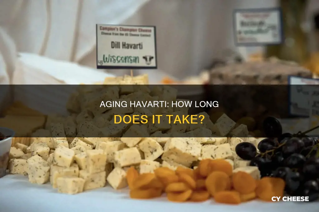 how long does havarti cheese take to age