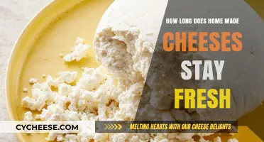 The Ultimate Guide to Storing Homemade Cheese: Freshness Secrets Revealed