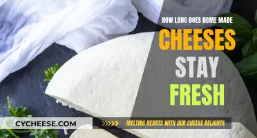 Cheese Storage: How Long Does Freshness Last?