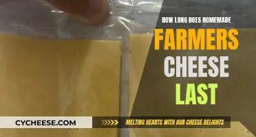 Homemade Farmer Cheese: How Long Does It Last?