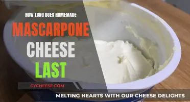 The Expiry Mystery: Homemade Mascarpone Cheese Shelf Life