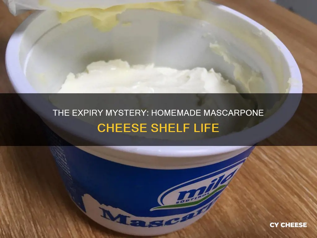 how long does homemade mascarpone cheese last