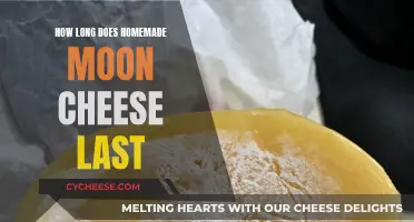 Moon Cheese: How Long Does Homemade Last?