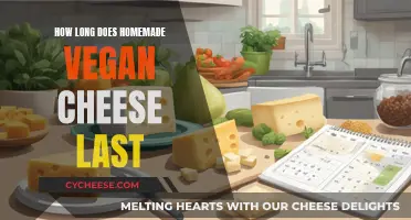 Vegan Cheese: How Long Does it Last in the Fridge?