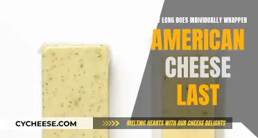 The Longevity of Individually Wrapped American Cheese