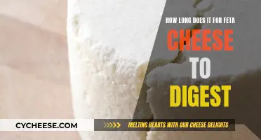 Feta Cheese Digestion: How Long Does It Take?