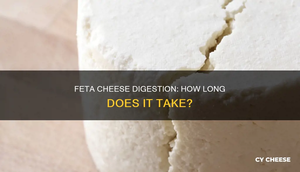 how long does it for feta cheese to digest