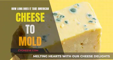 American Cheese: Mold Growth Timeline Explored