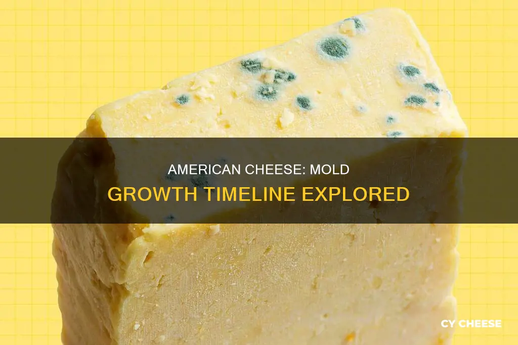 how long does it take american cheese to mold