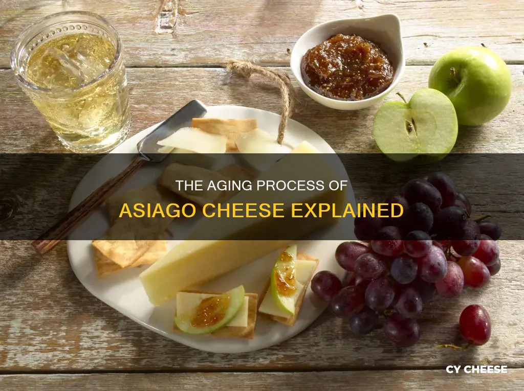 how long does it take asiago cheese to age