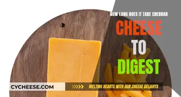 The Cheddar Conundrum: Understanding Cheese's Long Digestion