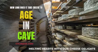 Aging Cheese in Caves: How Long Does it Take?