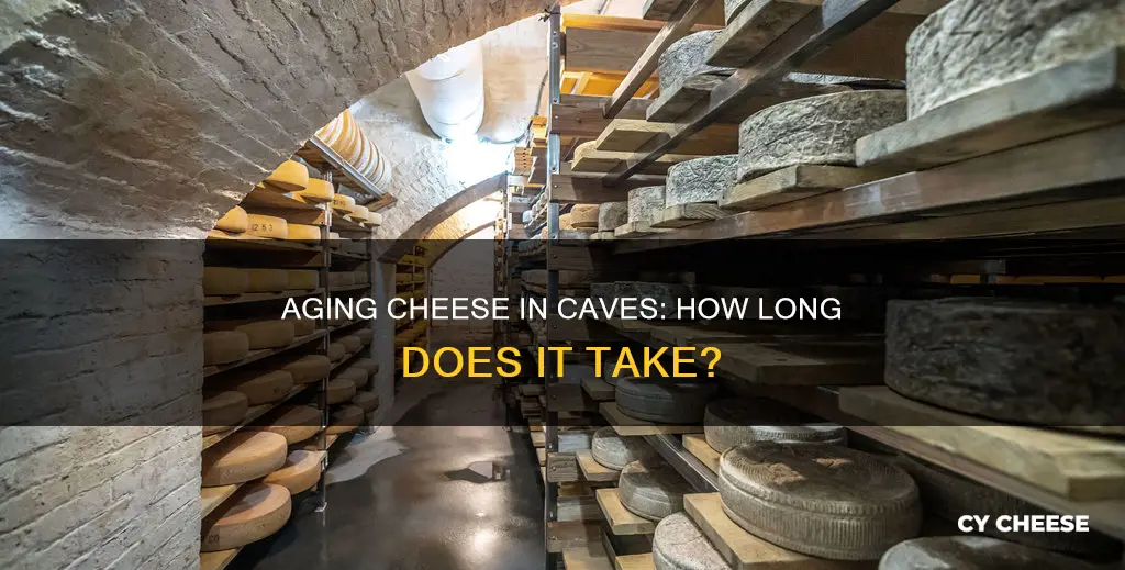 how long does it take cheese to age in cave