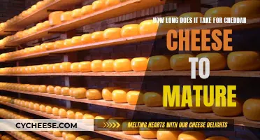 The Aging Art of Cheddar Cheese: Time and Taste