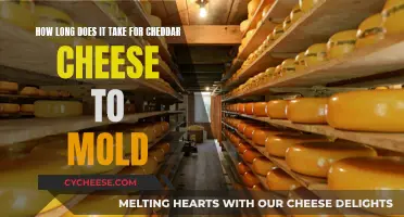 Cheddar Cheese: Moldy in a Matter of Weeks