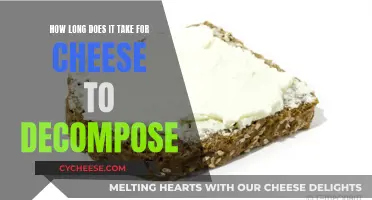 Cheese Decomposition: A Slow, Complex Process