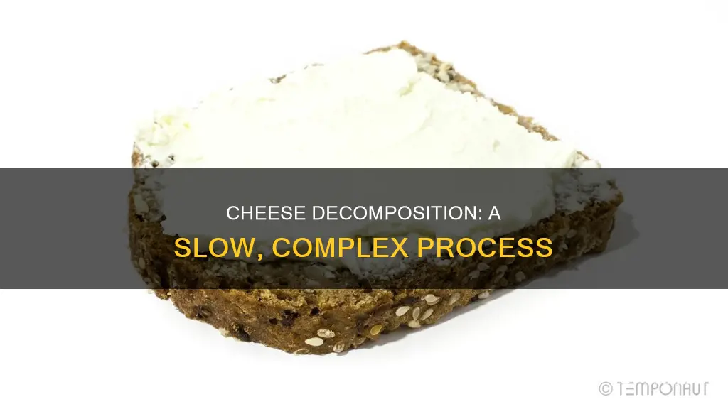 how long does it take for cheese to decompose